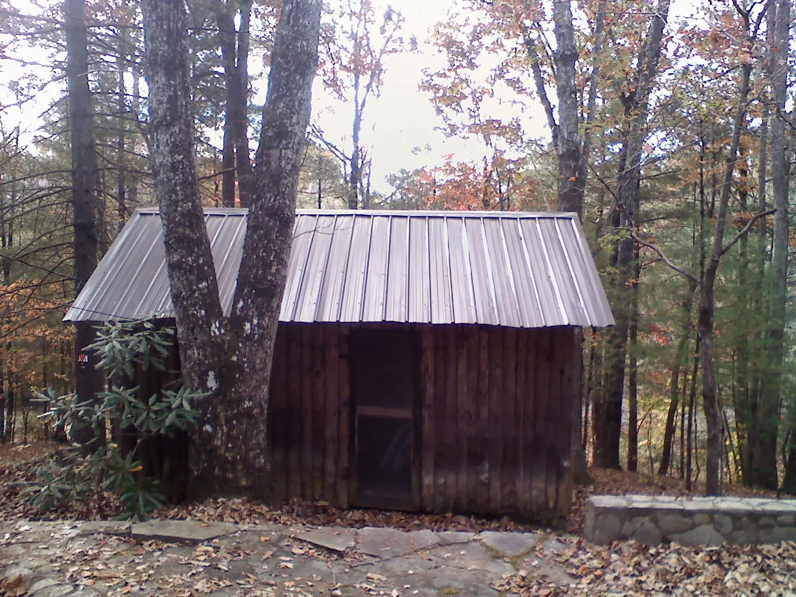 New metal gable roof on a small log shed among the trees in Aneta